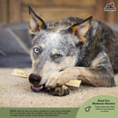 Redbarn Half Elk Antler Dog Chew