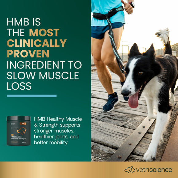 HMB Healthy Muscle & Strength Granules for Dogs