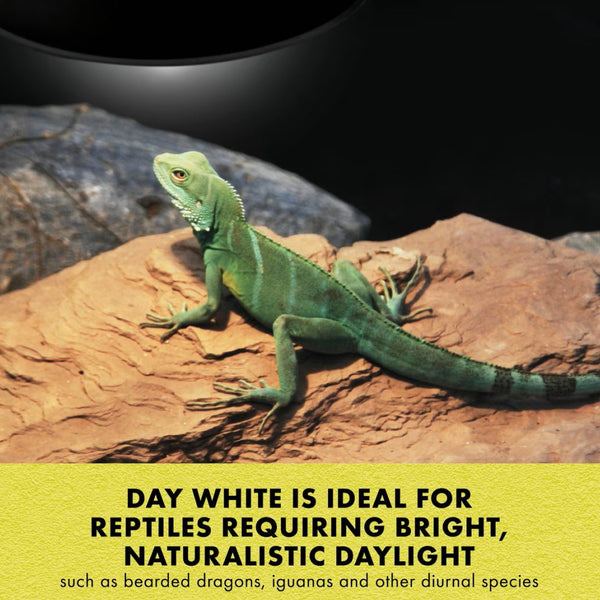 Zilla Mini Day White Halogen Bulb for Reptiles