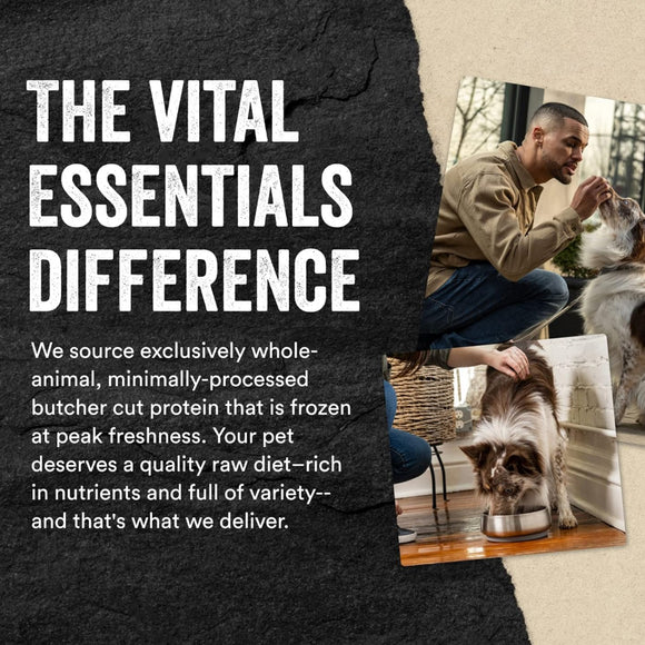Vital Essentials Freeze-Dried Raw Minnows Treats For Dog