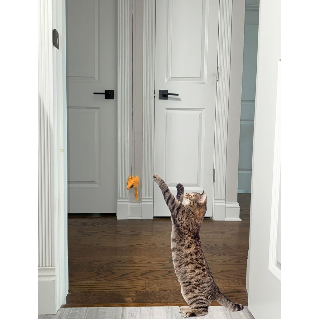 Ethical Pet Door-Able Bouncing Mouse Cat Toy - Interactive Cat Fun
