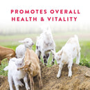 Manna Pro Goat Balancer Comprehensive Supplement (10 lb)