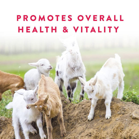 Manna Pro Goat Balancer Comprehensive Supplement (10 lb)