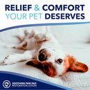 TropiClean OxyMed Restore Paw Pad Lotion for Dogs & Cats (4 oz)