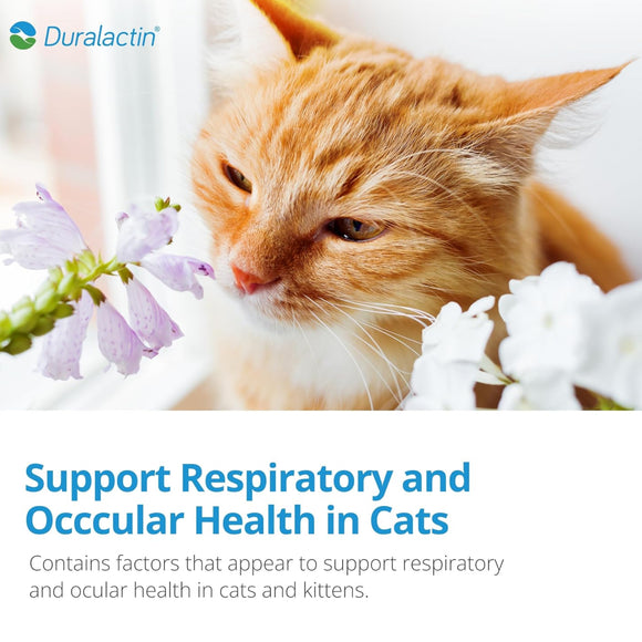 Duralactin® Feline L-lysine Paste For Cat