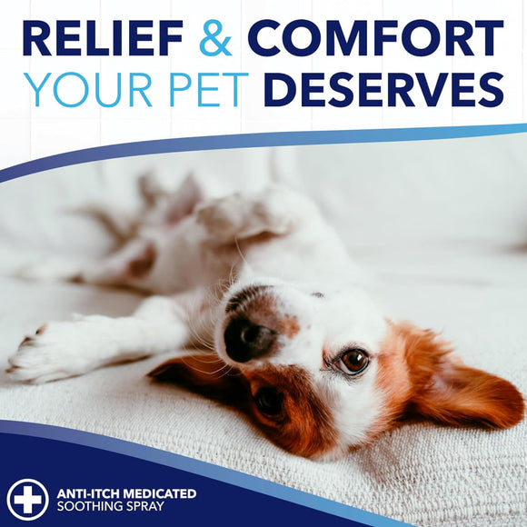 TropiClean OxyMed Soothing Allergy Relief Wipes For Dog & Cat (50 ct)