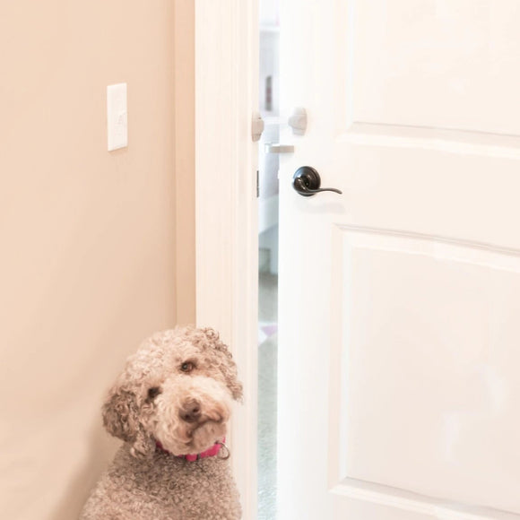 Mypet Safety Door Paw-tector For Dogs & Cats (1 pk)