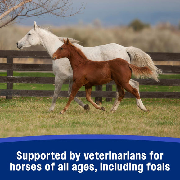 Farnam SandClear Psyllium Crumbles Digestive Supplement for Horses