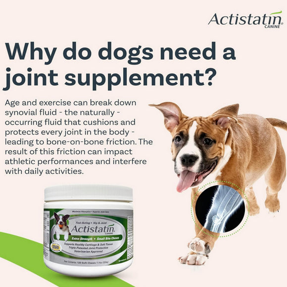 Actistatin Canine Extra-Strength Hip & Joint Small Bite Soft Chews for Small Dogs (120 ct)