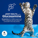 ProThrive Spunky Probiotics (Digestive Enzymes & Joint Support Supplement) for Dogs