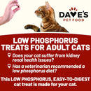 Dave's Pet Food Renal-Friendly Sweet Potato Recipe Treats For Dog (3 oz)