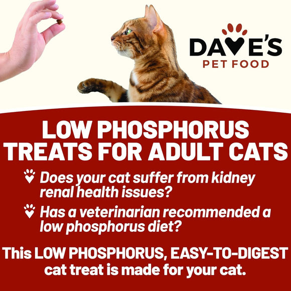 Dave's Pet Food Renal-Friendly Sweet Potato Recipe Treats For Dog (3 oz)