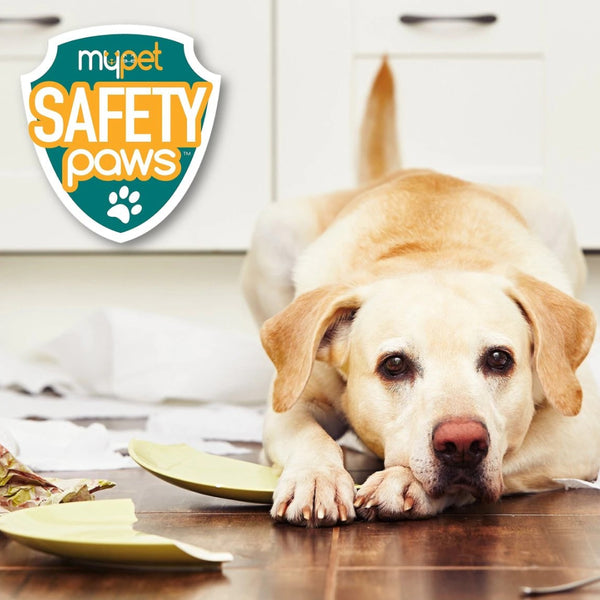 Mypet Safety Paws No-No Cabinet Latches Dogs & Cats (10 pk)