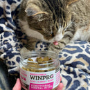 WINPRO Cat Dental Bites (120 Bites)