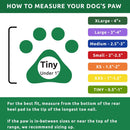Pawz Boots For Dog (Tiny)