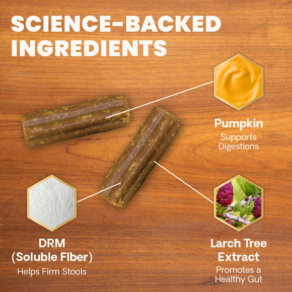Scoot Control Sticks for Dogs