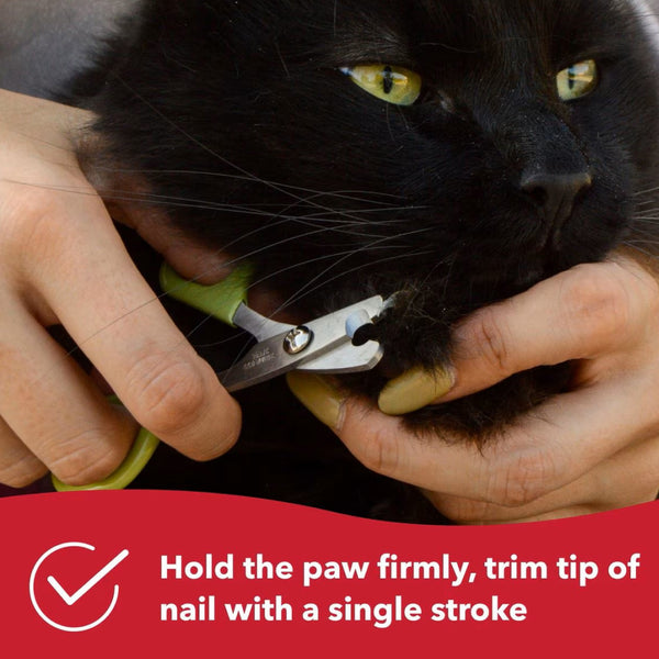 Safari Nail Trimmer for Cats