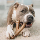 Benebone Bacon Flavor Wishbone Durable Chew Toy for Dogs-10