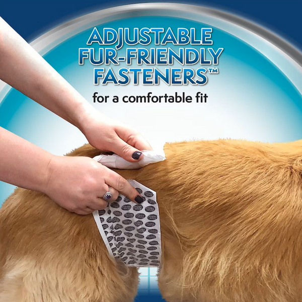 Simple Solution Disposable Male Dog Wraps for Large Dogs (12 pack)