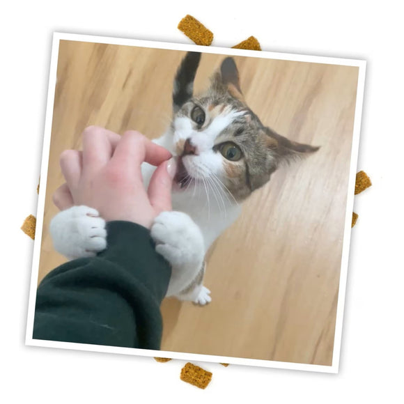 Meowijuana Crunchie Munchies Chicken Flavor Catnip Treats (3 oz)