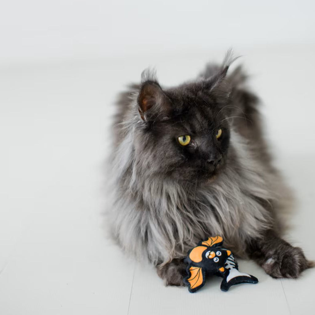 Pearhead Pawloween Toy Set For Cat