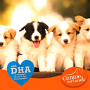 Canine Naturals Hide Free PUPPY Chicken Recipe Rolls Treats (2 Large Rolls) For Dog