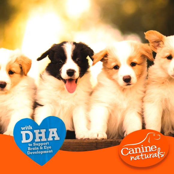 Canine Naturals Hide Free PUPPY Chicken Recipe Rolls Treats (2 Large Rolls) For Dog