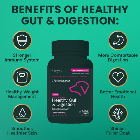Extra Strength Healthy Gut & Digestion Tablets for Dogs