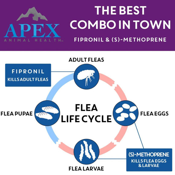 Apex Plus Topical Flea & Tick Prevention for Dogs 45-88 lbs (3 doses)