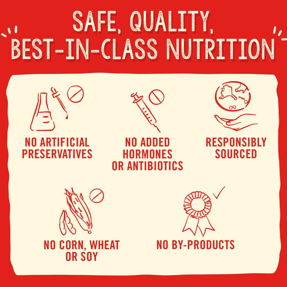 Stella & Chewy's Meal Mixer SuperBlends Cage-Free Chicken Recipe Food Topper for Dogs