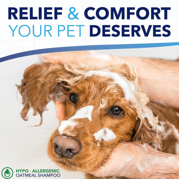 TropiClean OxyMed Hypoallergenic Oatmeal Shampoo for Dogs & Cats