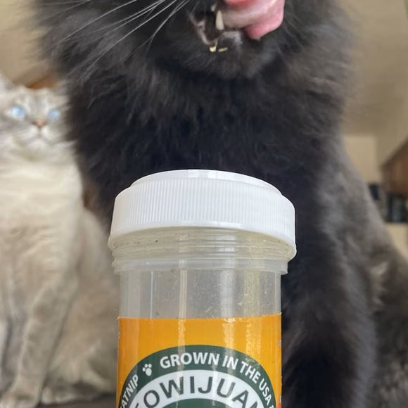 Meowijuana Kalico Kush Catnip & Valerian Root Blend Catnip (0.917 oz)