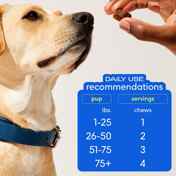 Native Pet Skin + Coat Healthy Skin Chews for Dogs