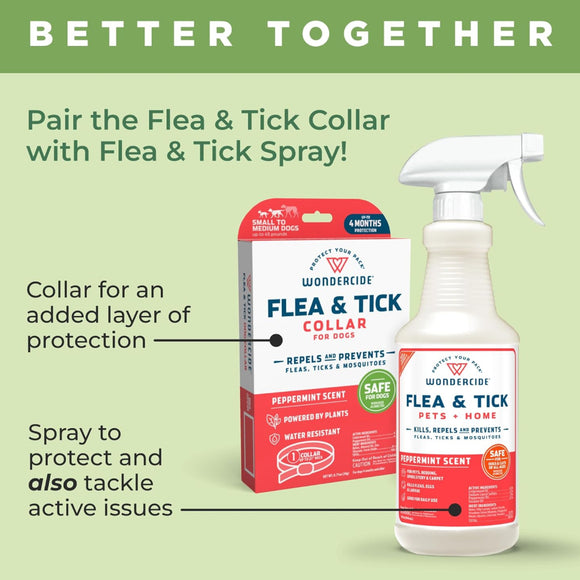Wondercide Natural Flea (Tick & Mosquito Repellent Collar) for Dogs (1 ct)