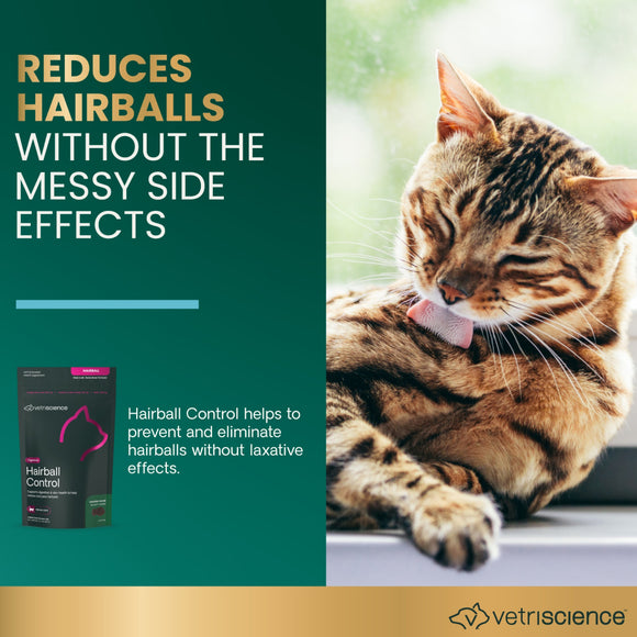 Hairball Control Chews for Cats
