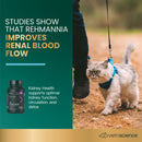 VetriScience Renal Essentials Kidney Supplement for Cats (60 chewable tablets)