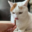 Stashios Wrap-Ups Cheese Flavor Pill Wrapper for Dogs & Cats (2 oz)