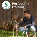 Nutro Crunchy Biscuits with Real Apple Treats For Dog