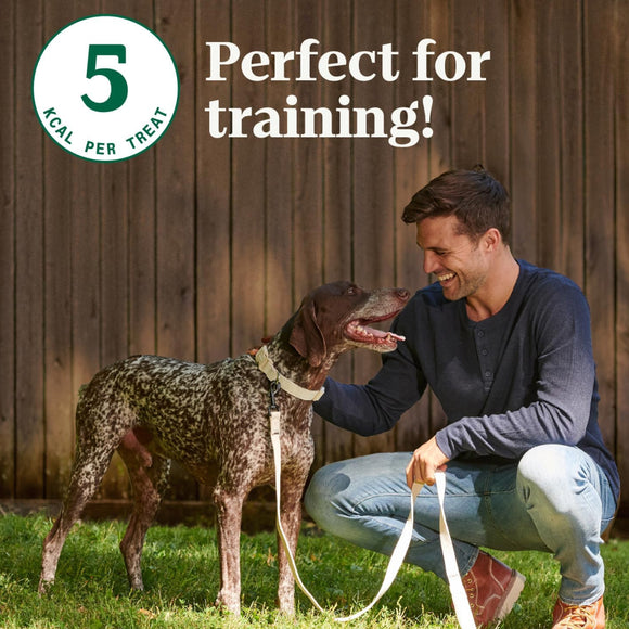 Nutro Crunchy Biscuits with Real Apple Treats For Dog