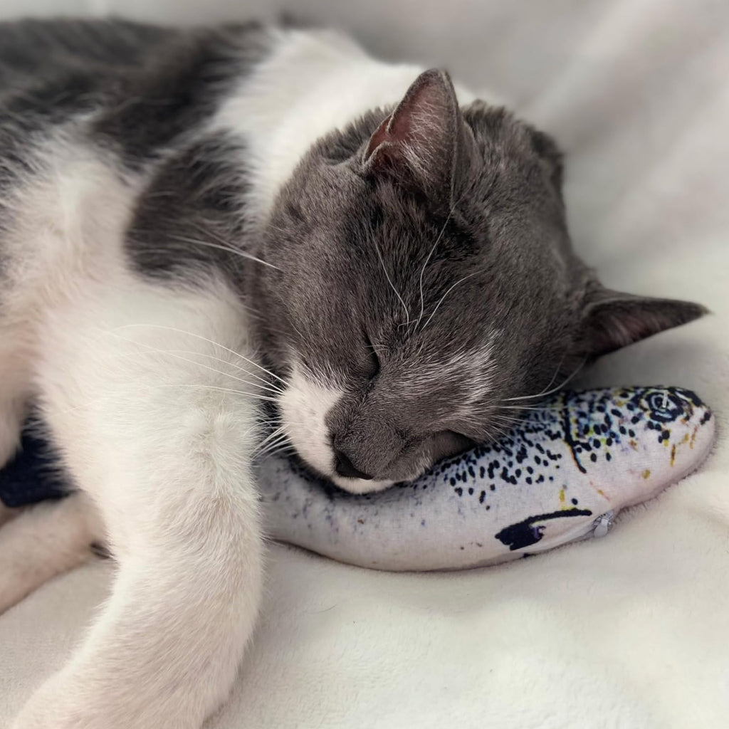 Ethical Flippin' Fish Toy – Rechargeable Cat Toy with Catnip