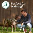 Nutro Crunchy Biscuits with Real Mixed Berries Treats For Dog