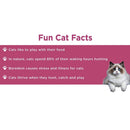 Doc & Phoebe The Wet Feeder for Cats