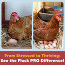 Flock Pro Hen Boost Probiotics & Digestive Enzymes
