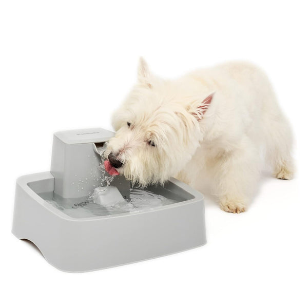 PetSafe Drinkwell Water Fountain For Dogs & Cats