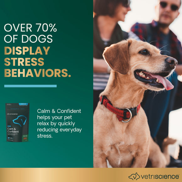 Calm & Confident Chews for Dogs Chicken Flavor