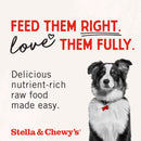 Stella & Chewy's Freeze-Dried Beef Liver Treats For Dog (3 oz)