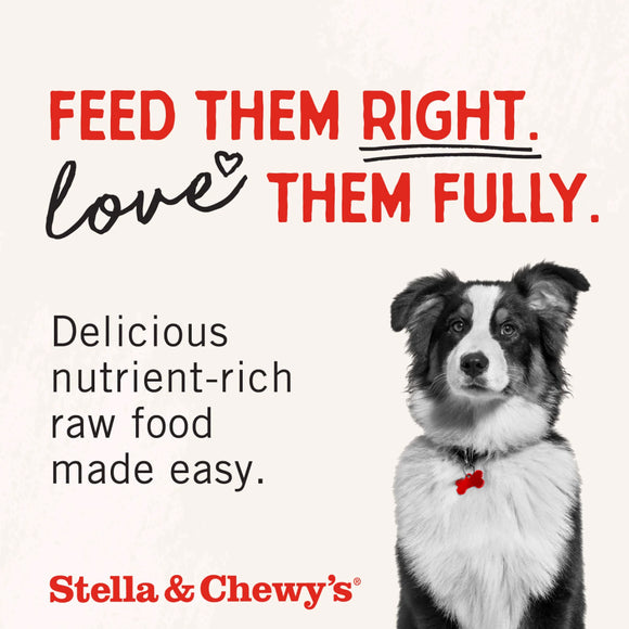 Stella & Chewy's Freeze-Dried Beef Liver Treats For Dog (3 oz)