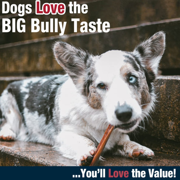 Cadet Bully Hide Sticks All-Natural Chews For Dog (Small)