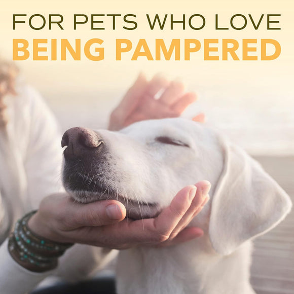 SPA by TropiClean Lavish Nourish Conditioner for Pets (16oz)