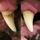 WINPRO Dog Functional Dental Stix (16 Stix)